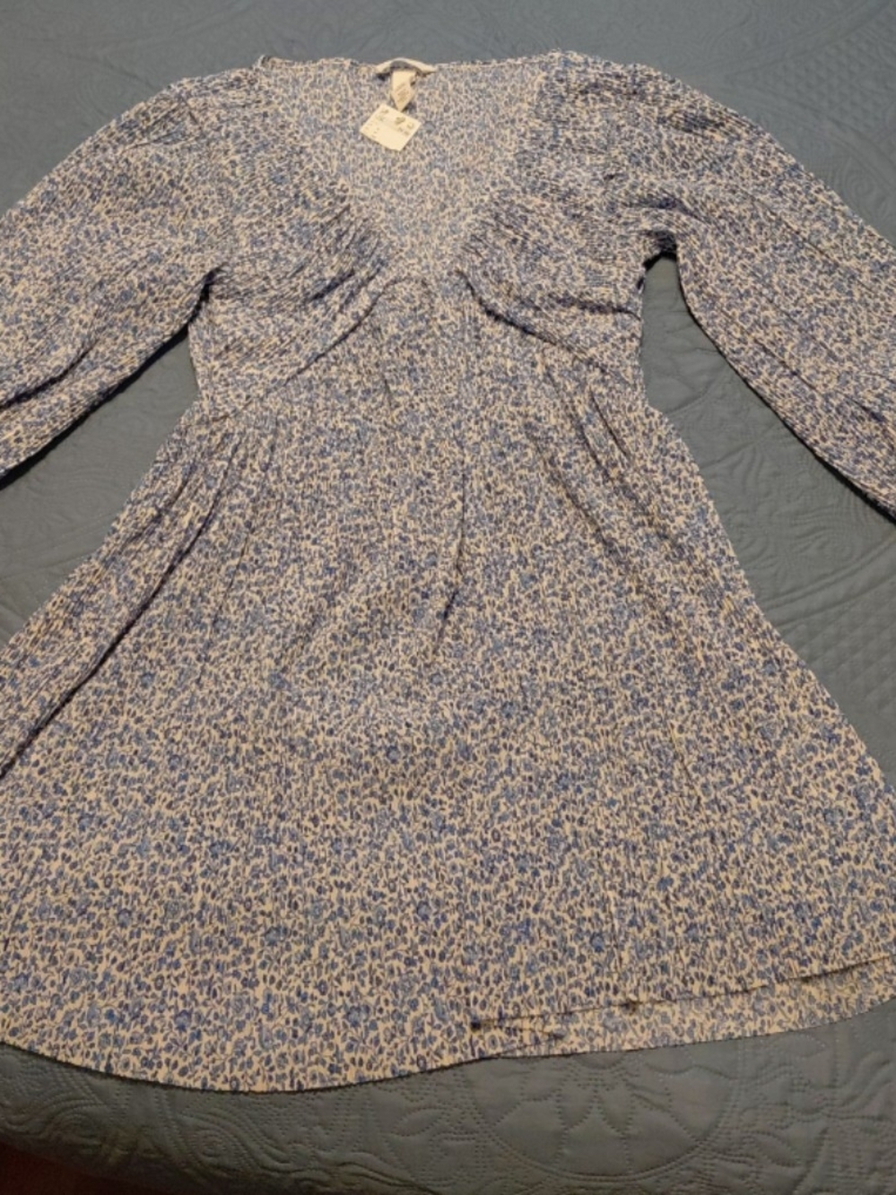 H&M Blue and White Long Sleeve Floral Dress